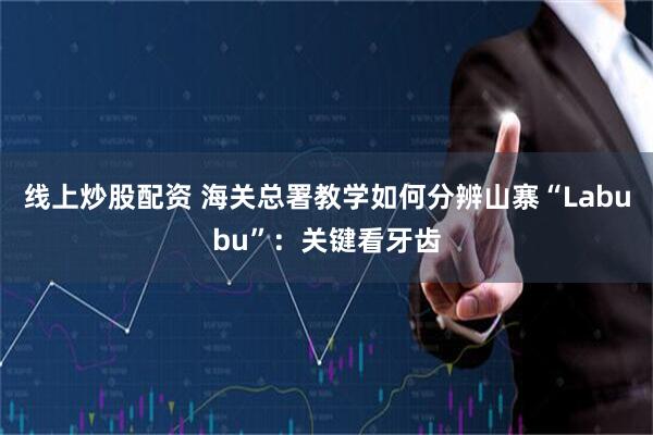 线上炒股配资 海关总署教学如何分辨山寨“Labubu”：关键看牙齿