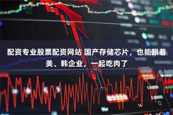 配资专业股票配资网站 国产存储芯片,也能跟着美、韩企业,一起吃肉了
